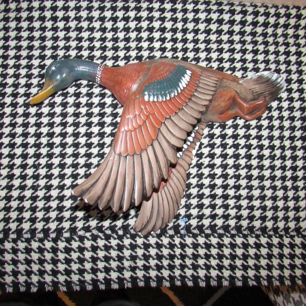 Atlantic Mold Mallard Duck in Flight 1964